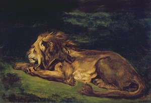 Lion Resting